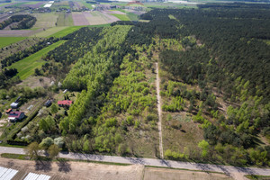 Działka na sprzedaż 75400m2 płoński Joniec Ludwikowo - zdjęcie 3