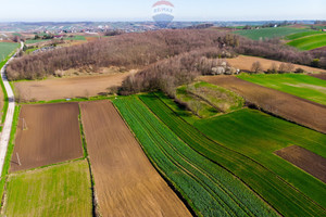 Działka na sprzedaż 3300m2 proszowicki Nowe Brzesko Sierosławice - zdjęcie 3