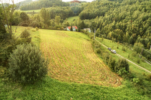 Działka na sprzedaż 4383m2 nowotarski Ochotnica Dolna - zdjęcie 3