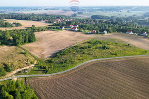 Działka na sprzedaż 7168m2 olsztyński Stawiguda Ruś - zdjęcie 2