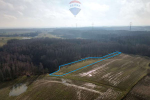 Działka na sprzedaż 6500m2 gdański Trąbki Wielkie Ełganowo - zdjęcie 2