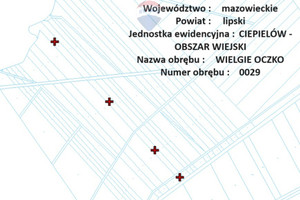 Działka na sprzedaż 3200m2 lipski Ciepielów Wielgie - zdjęcie 2