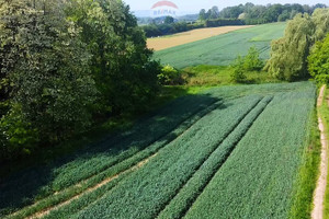 Działka na sprzedaż 40038m2 wadowicki Wieprz Gierałtowice Turystyczna - zdjęcie 1