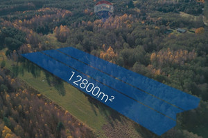 Działka na sprzedaż 12800m2 łaski Widawa Józefów Widawski - zdjęcie 3