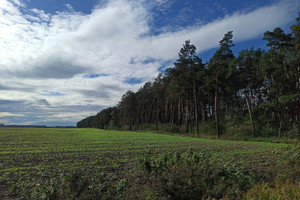 Działka na sprzedaż 38320m2 krotoszyński Zduny - zdjęcie 1