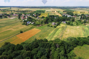 Działka na sprzedaż 7730m2 prudnicki Prudnik Moszczanka - zdjęcie 2