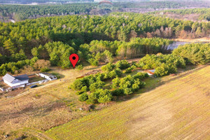 Działka na sprzedaż 3010m2 rypiński Rogowo Pinino - zdjęcie 1