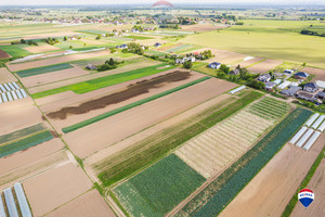 Działka na sprzedaż 1200m2 krakowski Igołomia-Wawrzeńczyce Igołomia - zdjęcie 2