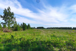 Działka na sprzedaż 600m2 skierniewicki Skierniewice Sierakowice Lewe - zdjęcie 1