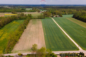 Działka na sprzedaż 25585m2 zgierski Zgierz Besiekierz Rudny - zdjęcie 2