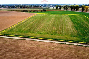 Działka na sprzedaż 21000m2 wrocławski Długołęka Bierzyce - zdjęcie 1