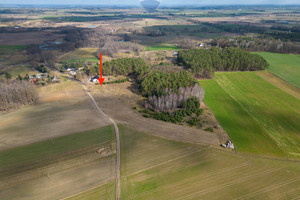 Działka na sprzedaż 3274m2 szamotulski Pniewy - zdjęcie 3