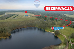 Działka na sprzedaż 3116m2 koszaliński Polanów Wielin - zdjęcie 1