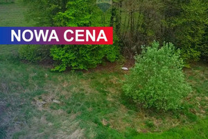 Działka na sprzedaż 1130m2 olkuski Bolesław Małobądz Pniaki - zdjęcie 1