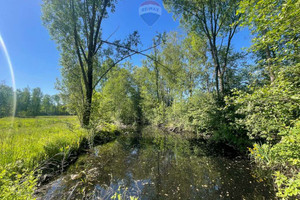 Działka na sprzedaż 4085m2 grodziski Jaktorów Karliczka - zdjęcie 3