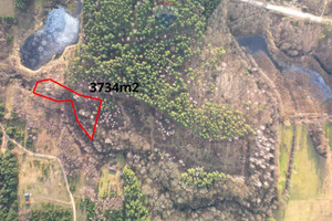 Działka na sprzedaż 3734m2 rypiński Rogowo Pinino - zdjęcie 2