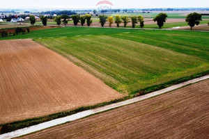 Działka na sprzedaż 21000m2 wrocławski Długołęka Bierzyce - zdjęcie 3