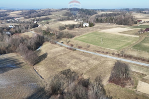 Działka na sprzedaż 12200m2 tarnowski Rzepiennik Strzyżewski Turza - zdjęcie 1