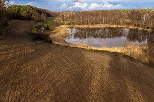 Działka na sprzedaż 31500m2 szamotulski Pniewy Buszewo - zdjęcie 2