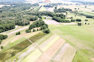 Działka na sprzedaż 18000m2 zwoleński Kazanów Ostrownica - zdjęcie 3