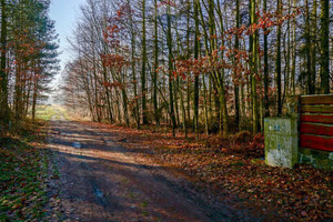 Działka na sprzedaż żyrardowski Puszcza Mariańska Waleriany - zdjęcie 1