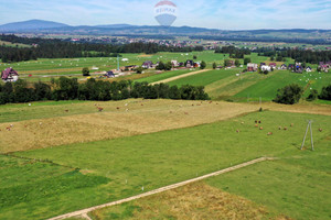 Działka na sprzedaż 9650m2 nowotarski Szaflary Maruszyna - zdjęcie 2