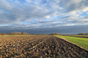 Działka na sprzedaż 6705m2 Kraków Nowa Huta Nowa Huta (historyczna) - zdjęcie 2