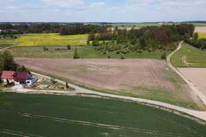 Działka na sprzedaż 10500m2 bolesławiecki Bolesławiec Żeliszów - zdjęcie 3