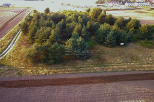 Działka na sprzedaż 9764m2 bolesławiecki Bolesławiec - zdjęcie 2