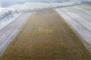 Działka na sprzedaż 35000m2 bolesławiecki Bolesławiec Brzeźnik - zdjęcie 3