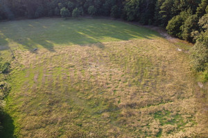 Działka na sprzedaż 2602m2 bolesławiecki Osiecznica Ławszowa - zdjęcie 3