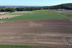 Działka na sprzedaż 96000m2 złotoryjski Zagrodno Grodziec - zdjęcie 2