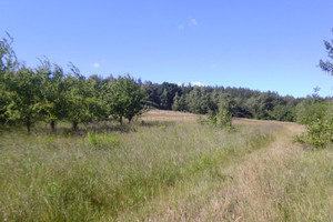 Działka na sprzedaż 1038m2 legnicki Chojnów Okmiany - zdjęcie 2