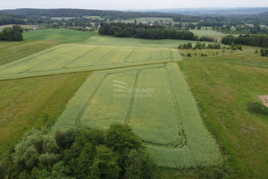 Działka na sprzedaż 1000m2 lwówecki Lwówek Śląski Włodzice Wielkie - zdjęcie 2