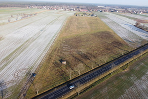 Działka na sprzedaż 17400m2 bolesławiecki Bolesławiec Brzeźnik - zdjęcie 3