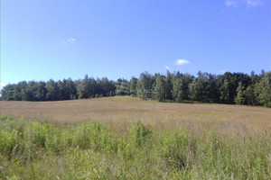 Działka na sprzedaż 1026m2 legnicki Chojnów Okmiany - zdjęcie 3