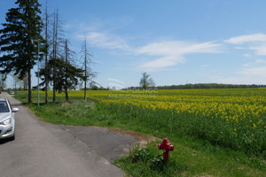 Działka na sprzedaż 1463m2 bolesławiecki Bolesławiec Żeliszów - zdjęcie 2