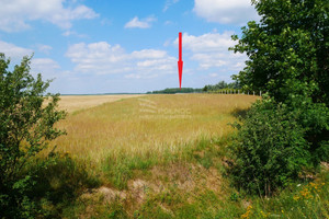 Działka na sprzedaż 10500m2 bolesławiecki Nowogrodziec Zebrzydowa - zdjęcie 2