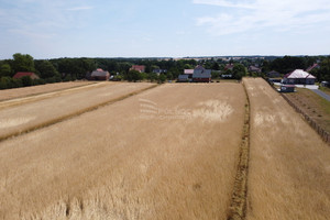 Działka na sprzedaż 1000m2 bolesławiecki Nowogrodziec Ołdrzychowska - zdjęcie 2