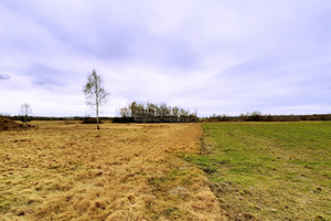 Działka na sprzedaż 6841m2 bolesławiecki Nowogrodziec Wykroty Mikołaja Kopernika - zdjęcie 3