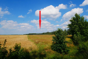 Działka na sprzedaż 10500m2 bolesławiecki Nowogrodziec Zebrzydowa - zdjęcie 3