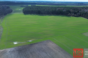 Działka na sprzedaż 3000m2 kołobrzeski Siemyśl Niemierze - zdjęcie 1