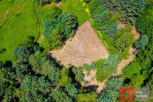 Działka na sprzedaż 3904m2 warszawski zachodni Stare Babice Wojcieszyn - zdjęcie 2