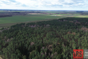 Działka na sprzedaż 3000m2 kołobrzeski Siemyśl Niemierze - zdjęcie 2