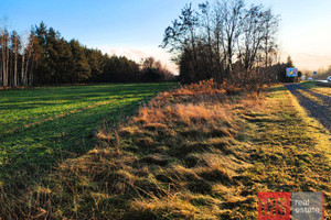 Działka na sprzedaż 1573m2 poddębicki Poddębice Sworawa - zdjęcie 2