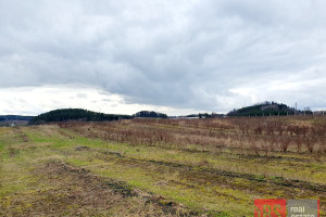 Działka na sprzedaż 3149m2 ełcki Ełk Chruściele - zdjęcie 3