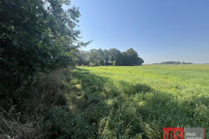 Działka na sprzedaż gryficki Trzebiatów Włodarka - zdjęcie 2