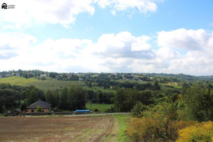 Działka na sprzedaż 5800m2 wielicki Wieliczka Sygneczów - zdjęcie 1