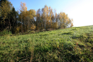 Działka na sprzedaż 7100m2 tarnowski Gromnik Siemiechów - zdjęcie 4