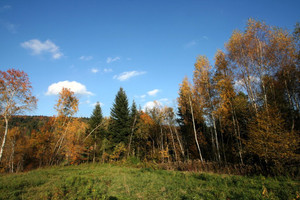 Działka na sprzedaż 7100m2 tarnowski Gromnik Siemiechów - zdjęcie 1